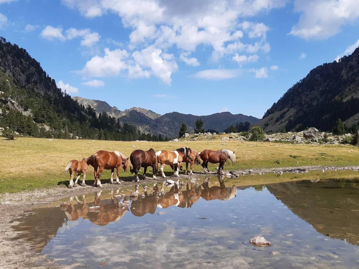 Studio Proche Centre Pour 2/4 Personnes, Cuisine Equipee, Pres Thermes Et Telecabines - Fr-1-234-281 Cauterets Εξωτερικό φωτογραφία